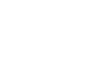 Job & Talent